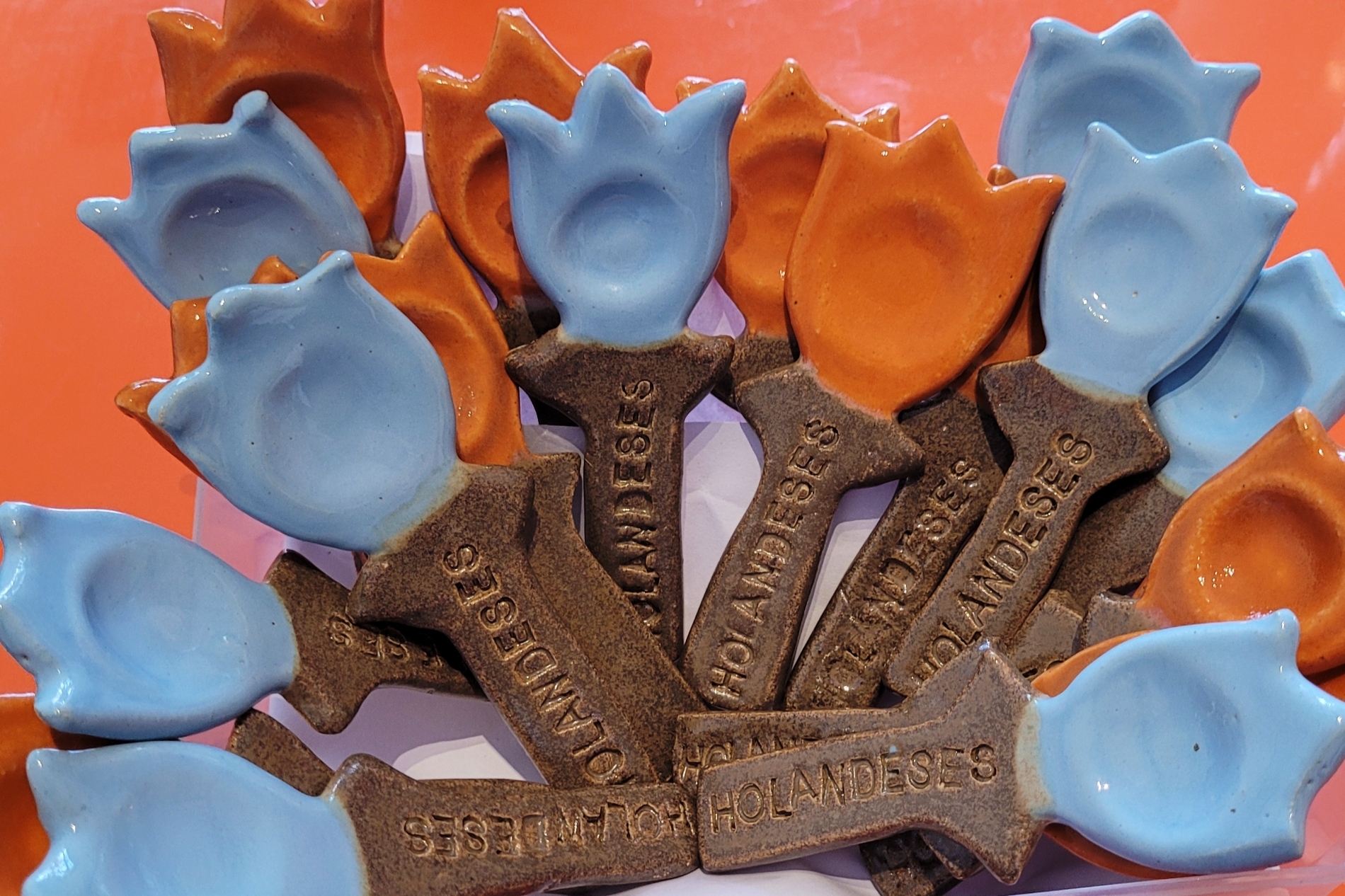 Holandeses Flores Secas e Cerâmica SBC