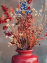 Holandeses cerâmica artesanal e arte botânica