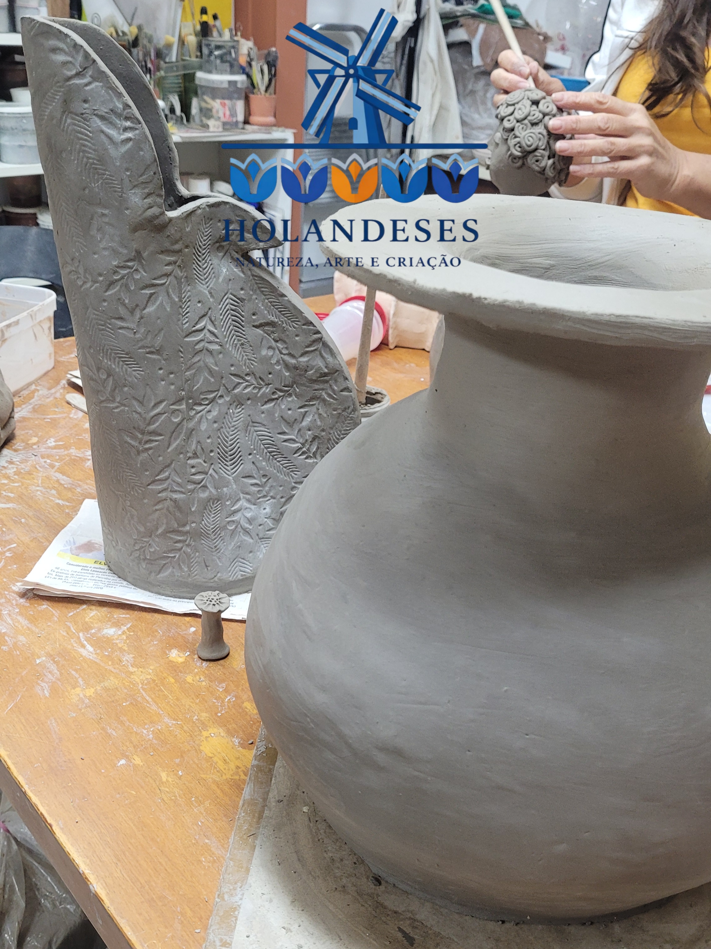 Holandeses imagem 15