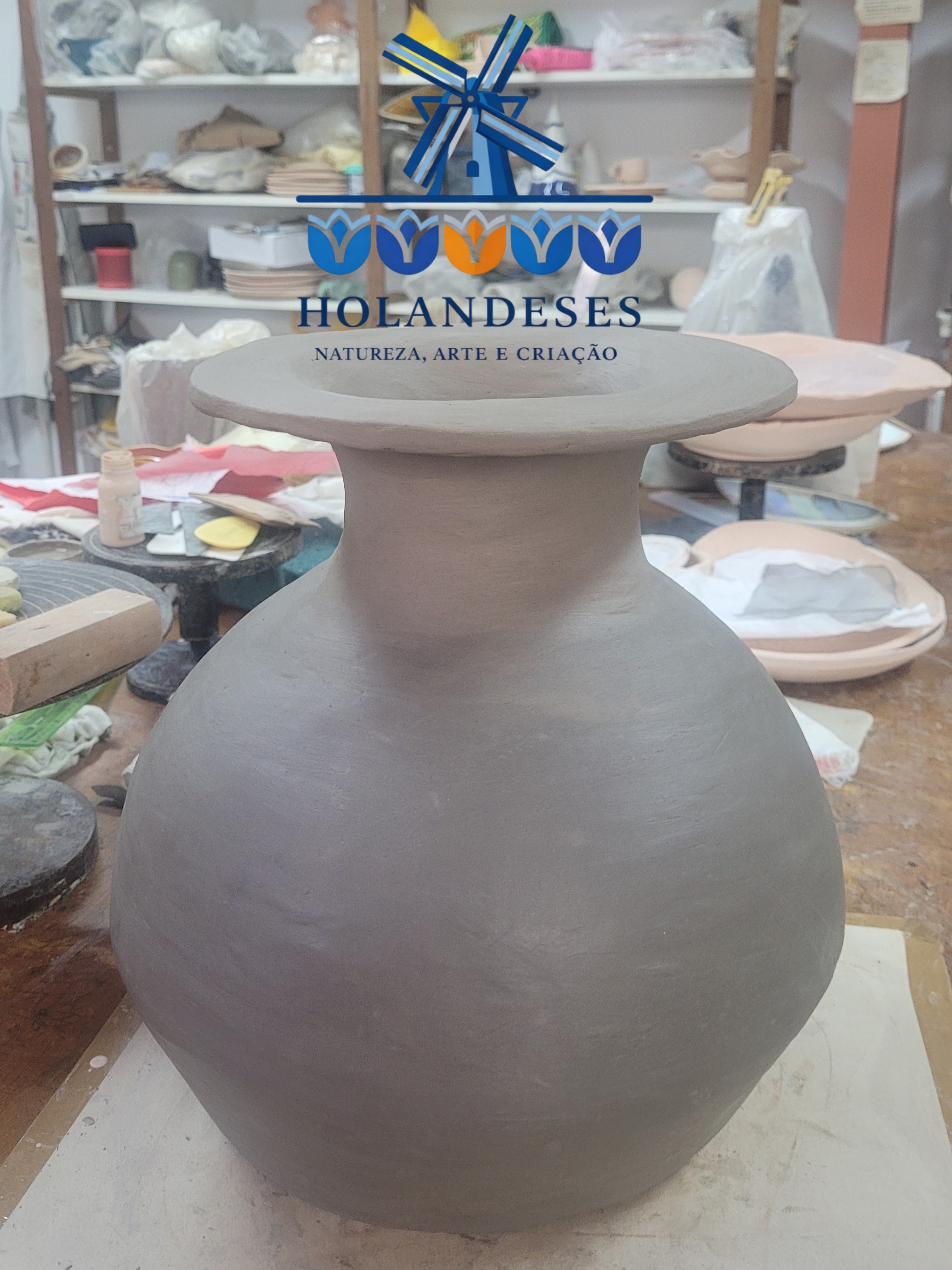 Holandeses imagem 17